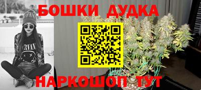 индика Чебоксары
